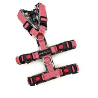 Sicherheitsgeschirr/Safety Geschirr /Führgeschirr Hundegeschirr Hund Gepolstert Passendes Halsband Und/Oder Leine Im Shop von NordicDogLove