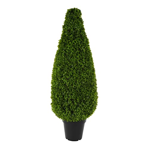 Nordstern Buchsbaum 'Avellino' - Ø 40 x 120 cm von Nordstern
