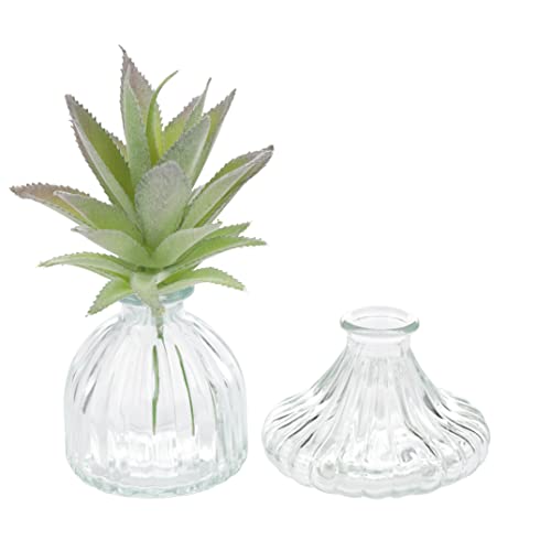 Nordstern Mini Vase 'Angri' Transparent 2er Set - Ø 8 x 9 cm | Ø 10 x 7 cm Nordstern Mini Vase 'Angri' Transparent 2er Set - Ø 8 x 9 cm | Ø 10 x 7 cm von Nordstern