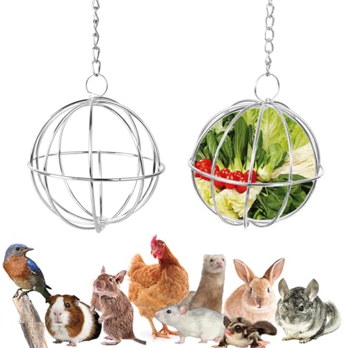 Norhogo 2 Stück Edelstahl Feeder Ball, Feeder Spielzeug mit Hängenden Haken, Edelstahl Nager Futterball, Heuball zum Aufhängen für Meerschweinchen, Hamster, Kaninchen Nager Fuer, 8cm von Norhogo