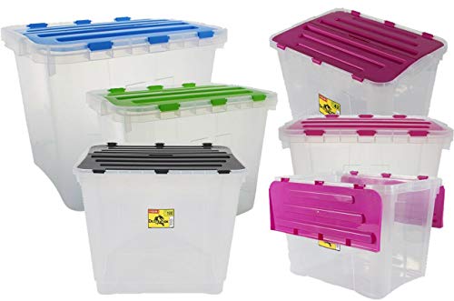 Northam Aufbewahrungsboxen 24 Liter transparent Deckel Bunt mit Verschluss Top Box Klickverschluss Kunststoff transparent von Northam
