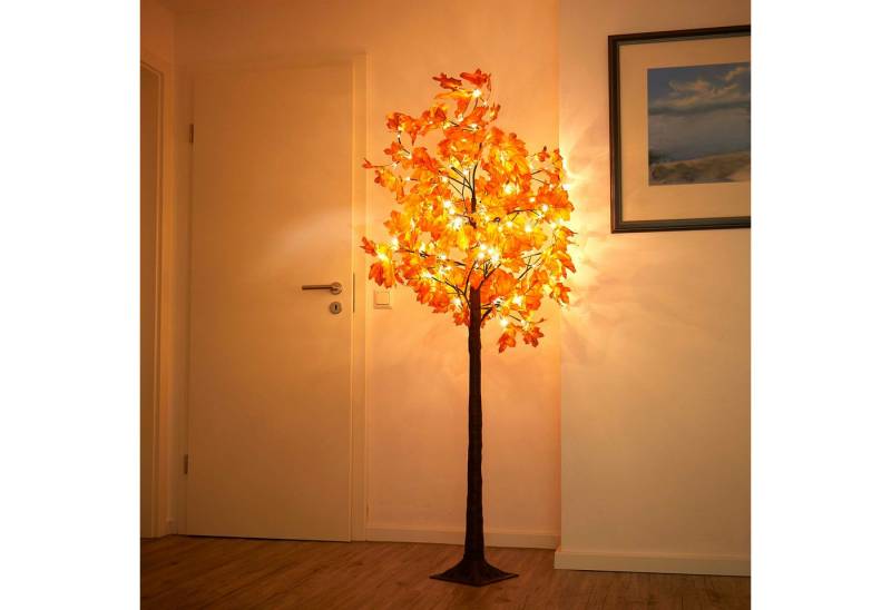 Northpoint LED Baum Herbstbaum Herbstdeko Lichtbaum in Ahorn-Optik In- & Outdoor von Northpoint