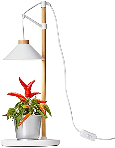 Northpoint LED Pflanzenleuchte Kräutergarten Tischlampe aus Echtholz 9W 550 Lumen Höhenverstellbar Timer von Northpoint