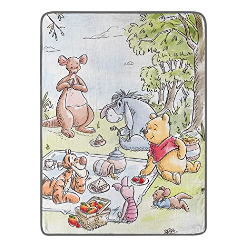 Northwest Disney's Winnie The Pooh Micro Raschel Überwurfdecke, 116,8 x 152,4 cm, Friend Picknick von Northwest