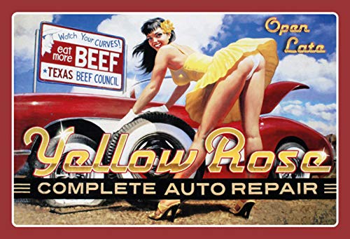 Gelbe Rose Auto-Reparatur-Pin-Up-Schild, nostalgisch, gewölbt, starkes Metall-Blechschild, 20 x 30 x 1 cm Gelbe Rose Auto-Reparatur-Pin-Up-Schild, nostalgisch, gewölbt, starkes Metall-Blechschild, 20 x 30 x 1 cm von Nostalgische Welten Andreas Schmidt