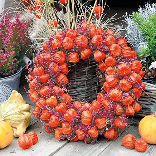 Einweg-Papierservietten, Chinesische Laternen Wreath, 20 Stück 3-lagig, 33 x 33 cm von Nouveau