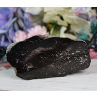 Großes Tiefbraunes Versteinertes Holz, Holz Fossil, Millionen Jahre Alt von NouveauCrystals
