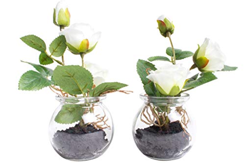 Nova-Nature künstliche Rosen im Glas (2 Stück) (Creme-weiß) von Nova-Nature