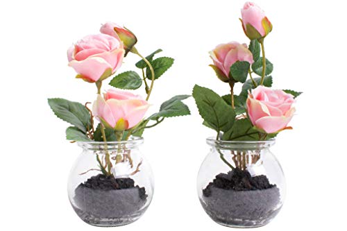 Nova-Nature künstliche Rosen im Glas (2 Stück) (rosa) von Nova-Nature