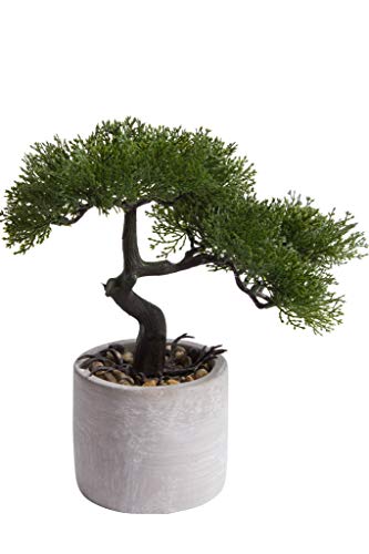 Nova-Nature künstlicher Cedern Bonsai im Zementtopf (ca. 25 x 25 cm) von Nova-Nature