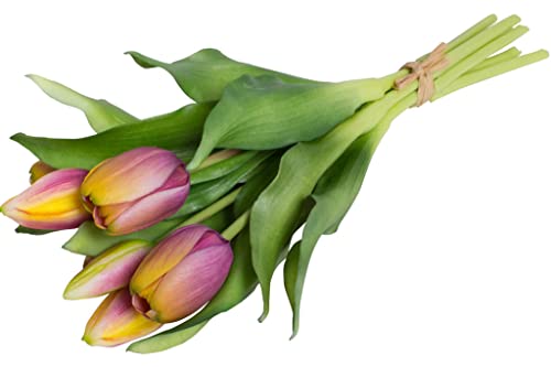 Nova-Nature künstliches Tulpenbündel Sally mit 4 Tulpen und 3 Tulpenknospen real Touch (Mauve-gelb) von Nova-Nature