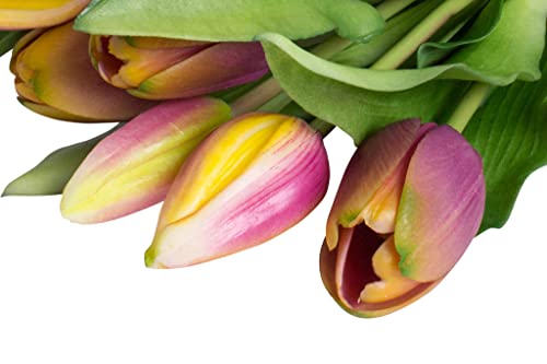 Nova-Nature künstliches Tulpenbündel Sally mit 4 Tulpen und 3 Tulpenknospen real Touch (Mauve-gelb) von Majen