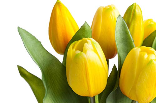 Nova-Nature künstliches Tulpenbündel Sally mit 4 Tulpen und 3 Tulpenknospen real Touch (gelb) von Nova-Nature