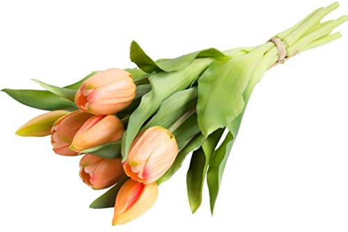 Nova-Nature künstliches Tulpenbündel Sally mit 4 Tulpen und 3 Tulpenknospen real Touch (lachs) von Nova-Nature