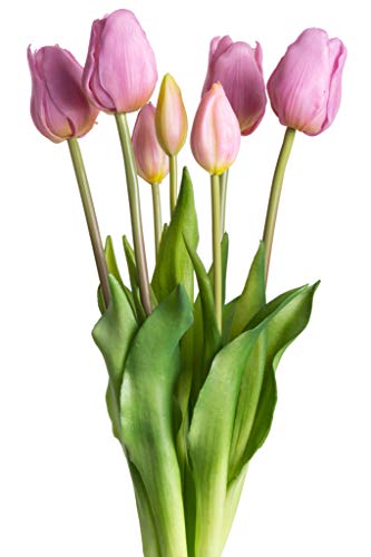 Nova-Nature künstliches Tulpenbündel mit 4 Tulpen und 3 Tulpenknospen real Touch (Mauve) von Nova-Nature