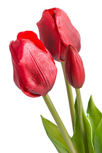 Nova-Nature künstliches Tulpenbündel mit 4 Tulpen und 3 Tulpenknospen real Touch (rot) von Nova-Nature