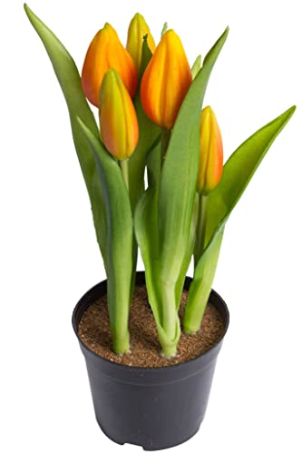 Nova-Nature künstliches Tulpenarrangement mit 5 Blütenknospen im schwarzen Kunststofftopf real Touch (orange), 12 x 23 cm von Nova-Nature