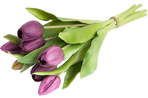 Nova-Nature künstliches Tulpenbündel Sally mit 4 Tulpen und 3 Tulpenknospen real Touch (aubergine) von Nova-Nature