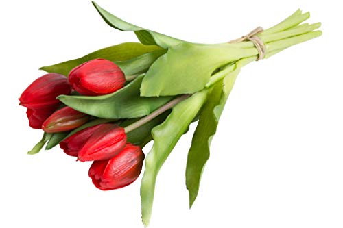 Nova-Nature künstliches Tulpenbündel Sally mit 4 Tulpen und 3 Tulpenknospen real Touch (rot) von Nova-Nature
