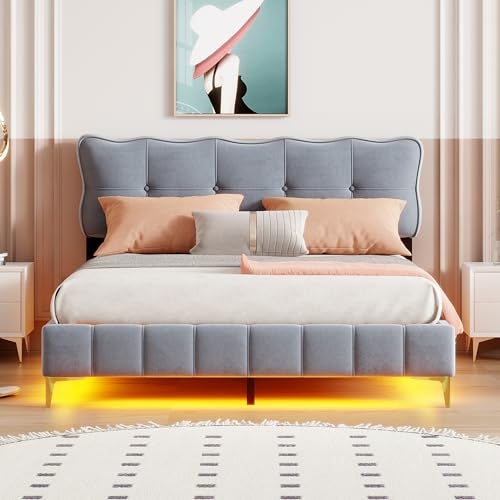 NovaFurnish Polsterbett 160 x 200 cm, Jugendbett, Doppelbett mit LED-Leuchten mit Rückenlehne mit Lattenrost Samtstoff hohe Metallfüße Grau (Matratze Nicht im Lieferumfang enthalten) von NovaFurnish