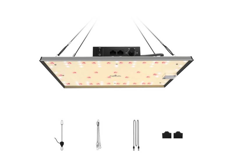 NovaGrove Pflanzenlampe NovaGrove Pflanzenlampe LED Grow Lampe Vollspektrum Dimmbar, LED fest integriert NovaGrove Pflanzenlampe NovaGrove Pflanzenlampe LED Grow Lampe Vollspektrum Dimmbar, LED fest integriert von NovaGrove