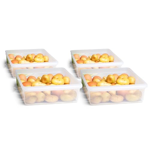 Novaliv 4X Kühlschrank Organizer 30,5 x 7,5 x 22 cm BPA-frei Küchenordnung Made in Germany vorratskammer Organizer Lebensmittelecht Aufbewahrung für Küche Waschküche Ordnungssystem Kühlschrankfach Novaliv 4X Kühlschrank Organizer 30,5 x 7,5 x 22 cm BPA-frei Küchenordnung Made in Germany vorratskammer Organizer Lebensmittelecht Aufbewahrung für Küche Waschküche Ordnungssystem Kühlschrankfach von Novaliv