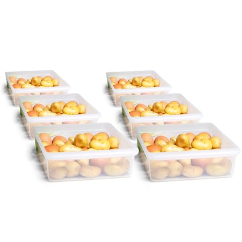 Novaliv 6X Kühlschrank Organizer 30,5 x 7,5 x 22 cm BPA-frei Küchenordnung Made in Germany Kühlschrank Behälter Lebensmittelecht Aufbewahrung für Küche Waschküche Ordnungssystem Kühlschrankfach Novaliv 6X Kühlschrank Organizer 30,5 x 7,5 x 22 cm BPA-frei Küchenordnung Made in Germany Kühlschrank Behälter Lebensmittelecht Aufbewahrung für Küche Waschküche Ordnungssystem Kühlschrankfach von Novaliv
