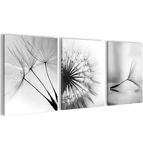 Novart Wandbilder Set Pusteblumen - KOMPLETT AUFHÄNGFERTIG - Wohnzimmer Schlafzimmer Flur Deko - 3 Moderne Bilder Schwarz Weiss - N036035a von Novart