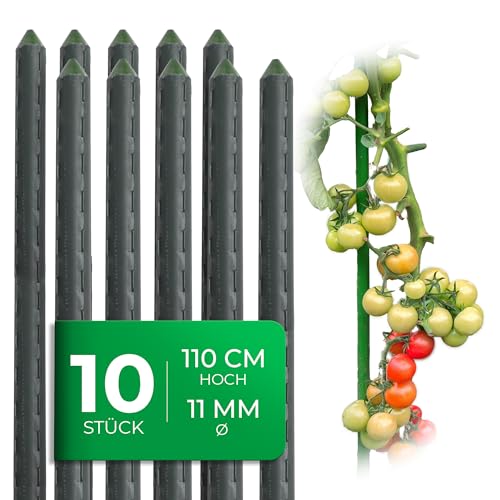 Novatool 10 Stück Pflanzstäbe 110cm grün 11mm Metallrohr kunststoffummantelt Rankstäbe für Pflanzen Rankhilfe Gurken Tomatenstäbe für Kletterpflanzen Blumenhalter Rankstab Pflanzstab 110 cm von Novatool