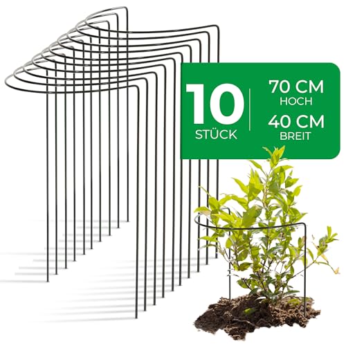 Novatool 10 Strauchstütze Metall halbrund 40 cm Ø70 cm hoch grün Staudenhalter Blumenhalter Rankengewächs Pflanzenstütze Blumenstütze Staudenstütze Rankhilfe Strauchhalter Rosenstütze Novatool 10 Strauchstütze Metall halbrund 40 cm Ø70 cm hoch grün Staudenhalter Blumenhalter Rankengewächs Pflanzenstütze Blumenstütze Staudenstütze Rankhilfe Strauchhalter Rosenstütze von Novatool