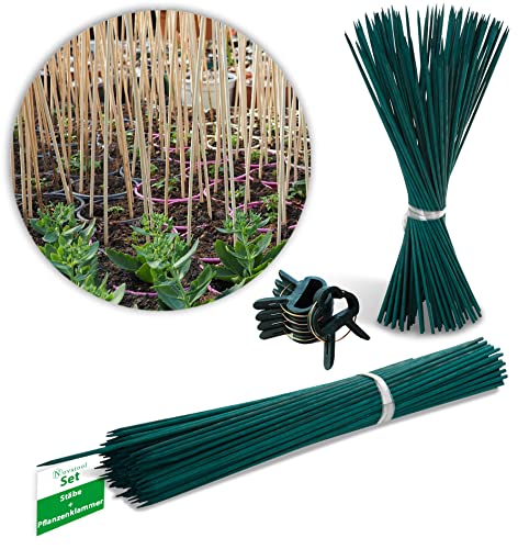 Novatool 100X Splittstäbe 50 cm und 20x Pflanzensicherung I Rankhilfe Zimmerpflanze I Bambusstange Pflanzensicherung Pflanzen Stütze I Pflanzenstütze Holzstab Plant Stakes Clip von Novatool