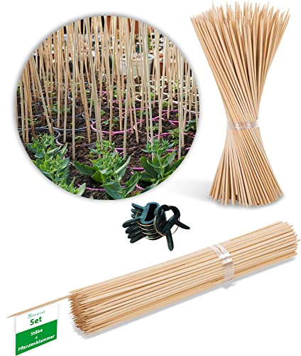 Novatool 100x Splittstäbe 50 cm und 20x Pflanzenbefestigung I Pflanzstäbe Rankhilfe Bambus Stab Bambusstäbe I Rankhilfe Zimmerpflanze I Bambusstange Pflanzensicherung Pflanzen Stütze von Novatool