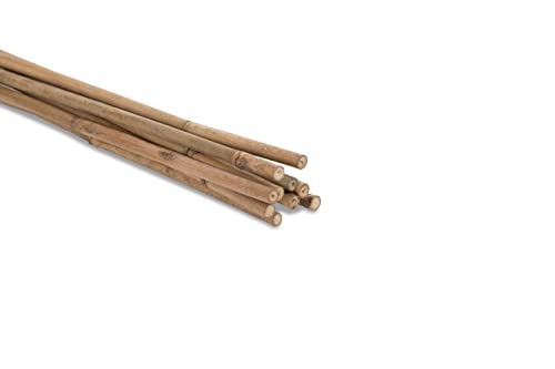 Novatool 10 Stück Tonkinstäbe 105 cm I ø 6-8 mm I Braun I Tonkinstab Sichtschutz Rankhilfe Bambus Bambusstäbe Bambusstange Bambusstöcke Pflanzenstütze Pflanzstab von Novatool