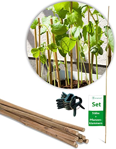 Novatool 10x Tonkinstäbe 150 cm und 20x Pflanzenklemmen I Rankhilfe Bambusstäbe Pflanzstütze Tomatenrankhilfe I Pflanzenhalter Bambusstab für Pflanzen Rankhilfe Zimmerpflanzen Kletterpflanzen von Novatool