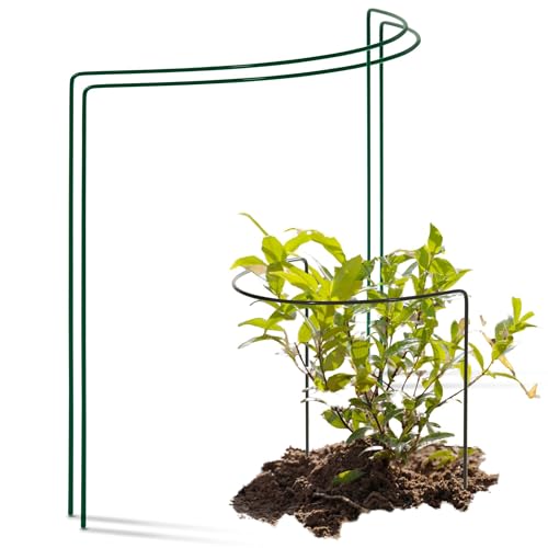 Novatool 2 Strauchstütze halbrund 40 cm Ø50 cm hoch grün Staudenhalter Blumenhalter Rankengewächs Pflanzenstütze Blumenstütze Staudenstütze Rankhilfe Strauchhalter Rosenstütze von Novatool