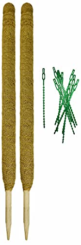 Novatool 2 x Moosstab 110cm Profi I Pflanzenbinder Befestigung Zimmerpflanzen I Kokosfaser Rankhilfe Monstera von Novatool