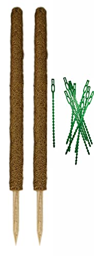 Novatool 2 x Rankhilfe 60cm und Baumbinder I Monstera Kokostäbe Moosstab I Befestigungsset Zimmerpflanzen von Novatool