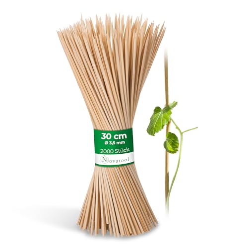 Novatool 2000x Splittstäbe 30 cm x 3,5 mm I Natur I Blumengitter Rankgitter Gitterspalier Topfpflanzen Pflanzenkäfige Rankhilfe Zimmerpflanzen pflanzenstütze von Novatool