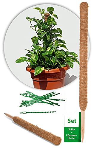 Novatool 2X Kokosstab für Pflanzen 60 cm und 100x Pflanzenbinder I natürliche Kokosfaser Rankstab Kokos verlängerbar für Monstera Pflanze Efeutute Moss Pole I Pflanzenbefestigung Pflanzenclip von Novatool