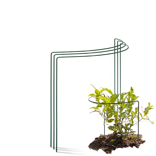 Novatool 3 Strauchstütze Metall halbrund 40 cm Ø35 cm hoch grün Staudenhalter Blumenhalter Rankengewächs Pflanzenstütze Blumenstütze Staudenstütze Rankhilfe Strauchhalter Rosenstütze von Novatool