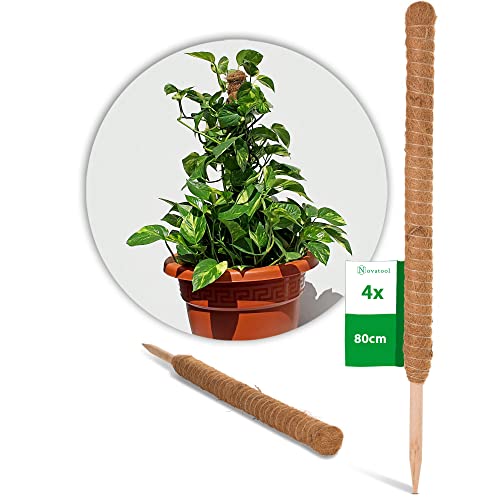 Novatool 4X Kokos Rankstab 80 cm I Ø 45mm I Profi I verlängerbar I natürlicher Kokosfaser I Pflanzenstütze Rankhilfe für Zimmerpflanzen blumentopf Stange von Novatool