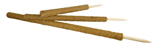 Novatool 4X Kokos Rankstab 80 cm I Ø 45mm I verlängerbar I natürlicher Kokosfaser I Pflanzenstütze Rankhilfe für Zimmerpflanzen blumentopf Stange von Novatool