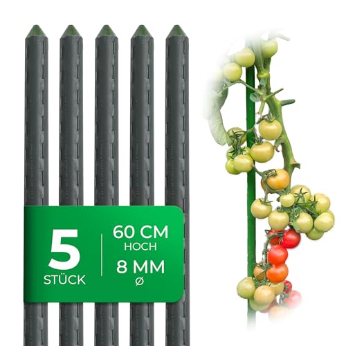 Novatool 5 Stück kleine Pflanzstäbe 60cm grün 8mm ⌀ stabil Metallrohr kunststoffummantelt Rankstäbe für Pflanzen Rankhilfe Gurken Tomatenstäbe für Kletterpflanzen Rankstab Pflanzstab 60 cm von Novatool