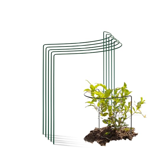 Novatool 5 Strauchstütze Metall halbrund 40 cm Ø35 cm hoch grün Staudenhalter Blumenhalter Rankengewächs Pflanzenstütze Blumenstütze Staudenstütze Rankhilfe Strauchhalter Rosenstütze von Novatool