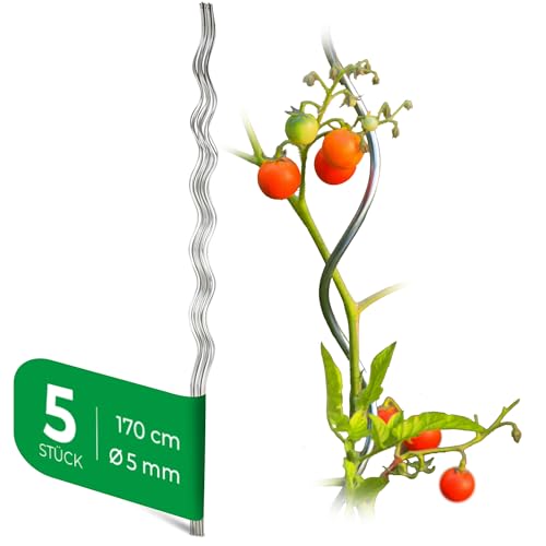 Novatool 5 Stück Tomatenstäbe 170 cm x 5 mm Ø Tomatenspiralstäbe verzinkt Rankstäbe Tomatenstangen 110cm Tomaten Rankhilfe Pflanzstäbe Tomatenstab Pflanzständer Pflanzstecker Tomatenspiralstab von Novatool