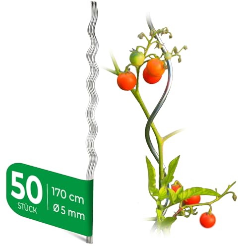 Novatool 50 Stück Tomatenstäbe 170 cm x 5 mm Ø Rankhilfe für Tomaten und Gurken Tomatenturm Rankstäbe Tomatenstangen 170cm Rankhilfen für Kletterpflanzen Pflanzstäbe Tomatenstab Bohnenstangen von Novatool