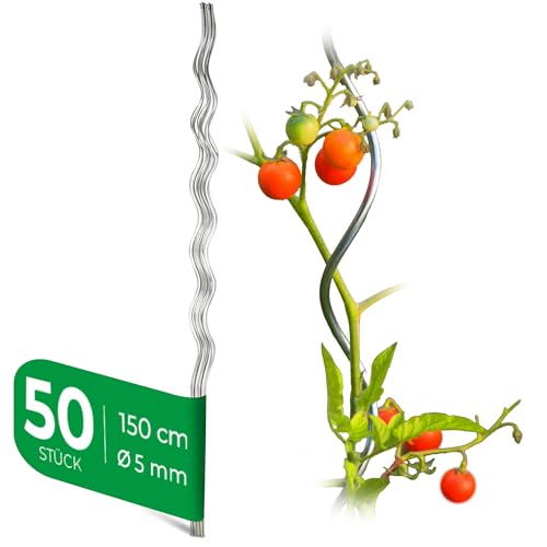 Novatool 50 Tomatenstäbe 150 cm x 5 mm Ø Tomatenspiralstäbe verzinkt Rankstäbe Tomatenstangen 150cm Tomaten Rankhilfe Pflanzstäbe Tomatenstab Pflanzständer Pflanzstecker Tomatenspiralstab 150 von Novatool