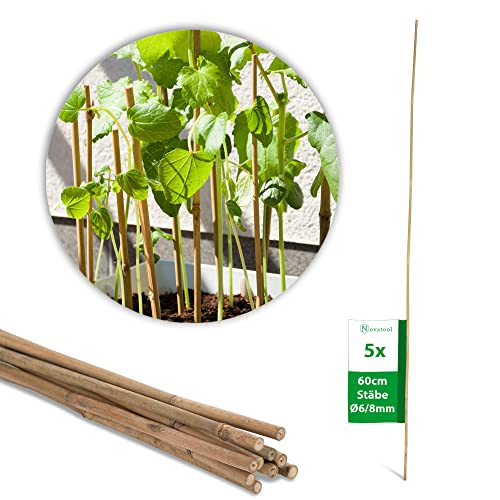 Novatool 5 Stück Tonkinstäbe 60 cm I ø 6-8 mm I Braun I Tonkinstab Rankhilfe Bambus Stab Bambusstäbe Bambusstange Bambusstöcke Pflanzenstütze Pflanzstab Novatool 5 Stück Tonkinstäbe 60 cm I ø 6-8 mm I Braun I Tonkinstab Rankhilfe Bambus Stab Bambusstäbe Bambusstange Bambusstöcke Pflanzenstütze Pflanzstab von Novatool