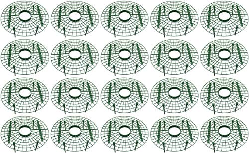 Novatool Erdbeerreifer 20 Stück Erdbeerranke Pflanzenstütze Erdbeerrahmen Erdbeer Ring Schneckenschutz Erdbeerringe Erdbeere Rankhilfe Fruchtreifer Pflanzenschutz vor Fäulnis Erdbeer Reifer von Novatool