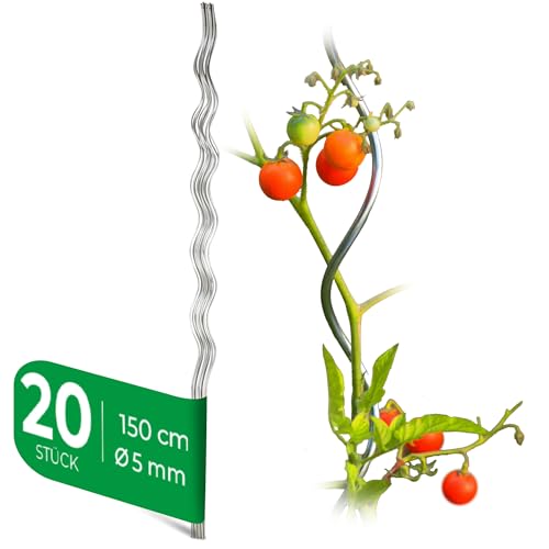 Novatool 20 Tomatenstäbe 150 cm x 5 mm Ø Tomatenspiralstäbe verzinkt Rankstäbe Tomatenstangen 150cm Tomaten Rankhilfe Pflanzstäbe Tomatenstab Pflanzständer Pflanzstecker Tomatenspiralstab 150 von Novatool